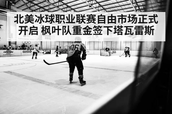 北美冰球职业联赛自由市场正式开启 枫叶队重金签下塔瓦雷斯