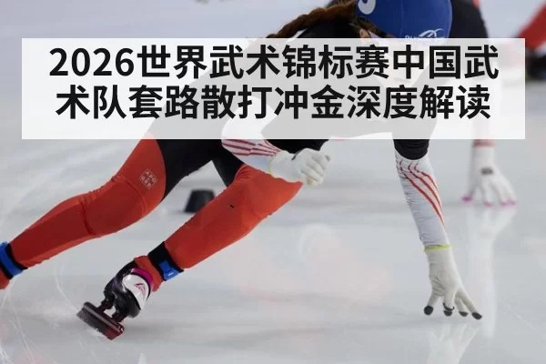 2026世界武术锦标赛中国武术队套路散打冲金深度解读
